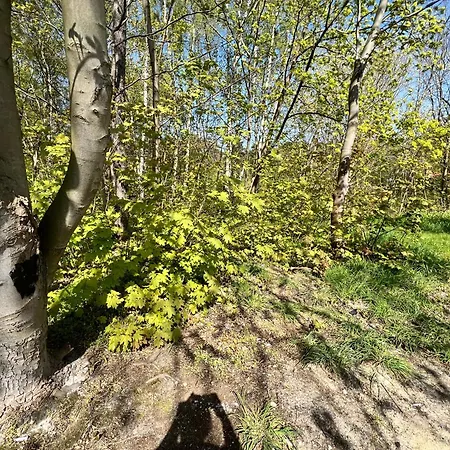 Na Spokojnie * 亚斯塔尔尼亚